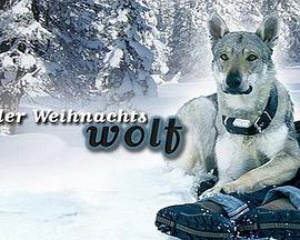 我会回来过圣诞HD中字(大结局)