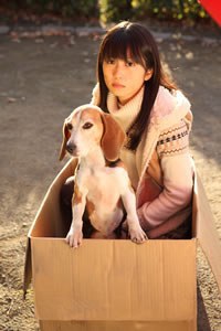 春之幻第1-3集(大结局)