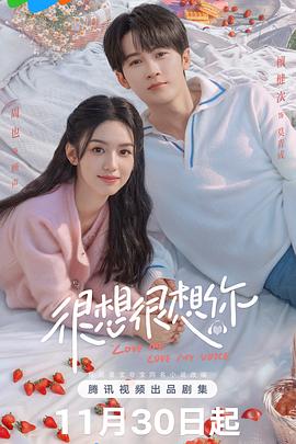 很想很想你第13集