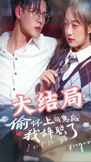 偷怀上司崽后，我辞职了全集(大结局)