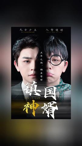 镇国神婿新版全集(大结局)