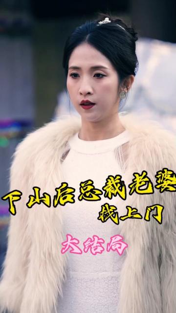 下山后总裁老婆找上门全集(大结局)