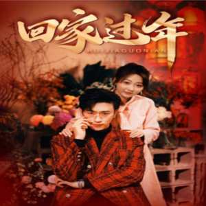 回家过年全集(大结局)