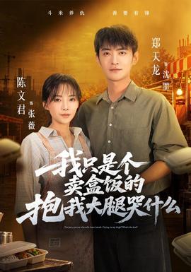 我只是个卖盒饭的抱我大腿哭什么(全集)